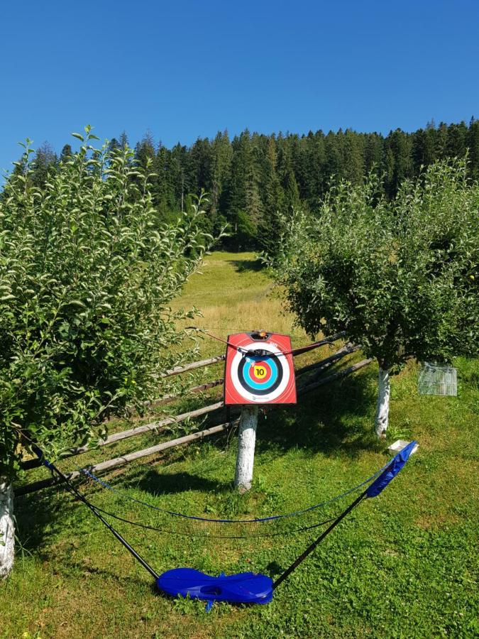 Pensiunea Daria Putna Exteriér fotografie